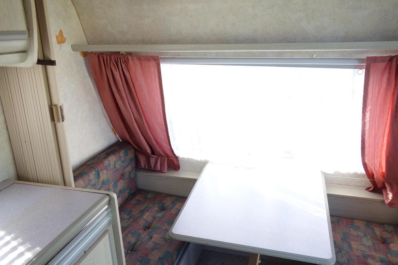 Camping Pod Zaglem