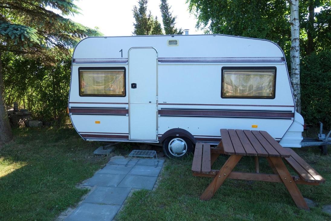 Camping Pod Zaglem