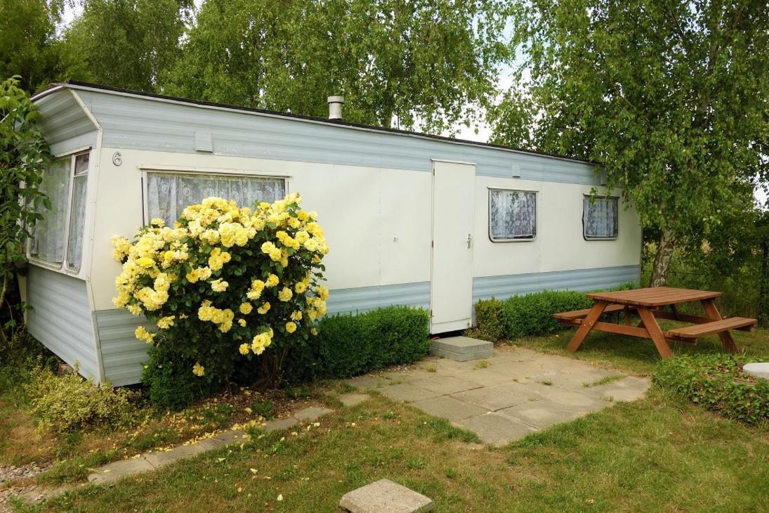 Camping Pod żaglem *